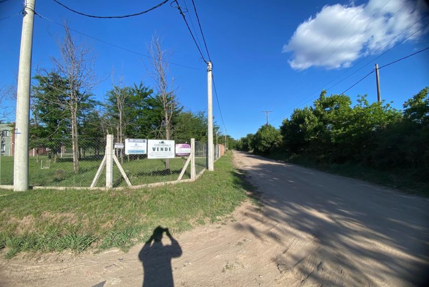 WhatsApp Image 2025-11-18 at 10.34.23 AM