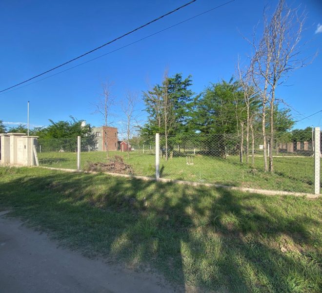 WhatsApp Image 2025-11-18 at 10.34.24 AM (1)