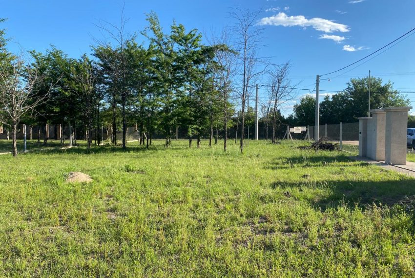 WhatsApp Image 2025-11-18 at 10.34.24 AM (2)