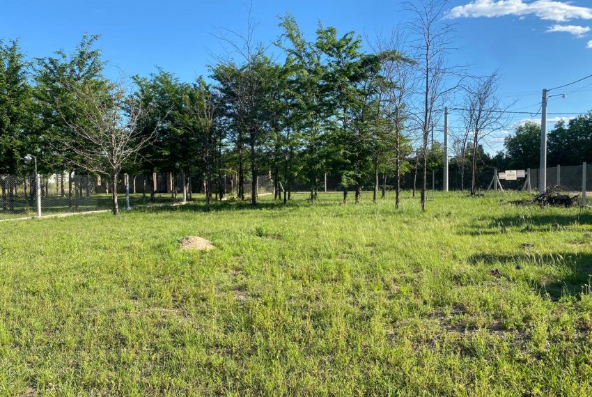 WhatsApp Image 2025-11-18 at 10.34.24 AM (3)