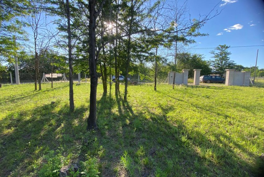 WhatsApp Image 2025-11-18 at 10.34.24 AM (6)