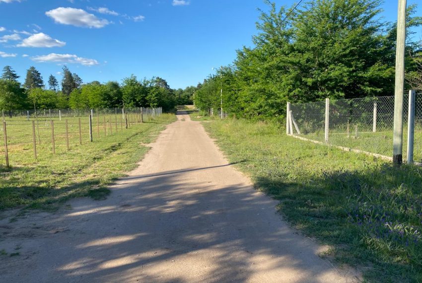 WhatsApp Image 2025-11-18 at 10.34.27 AM (1)