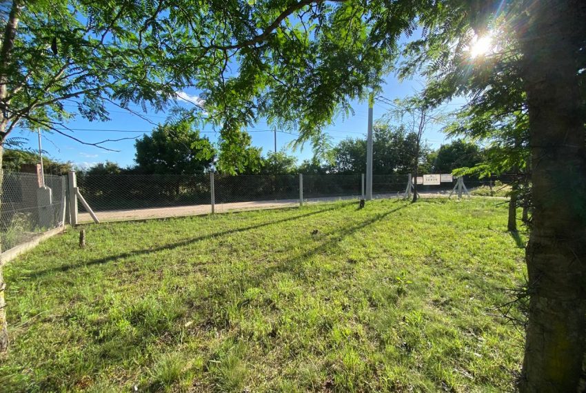 WhatsApp Image 2025-11-18 at 10.34.27 AM