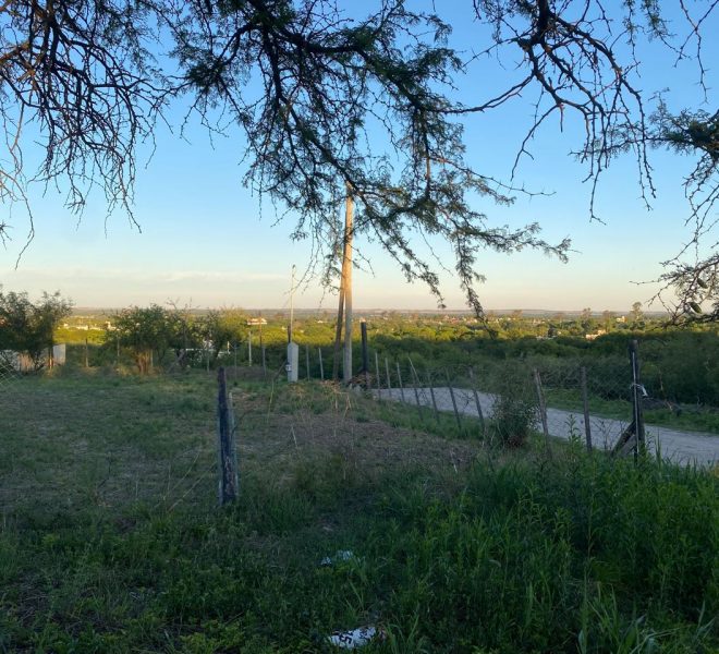 WhatsApp Image 2025-11-18 at 4.21.56 PM (1)