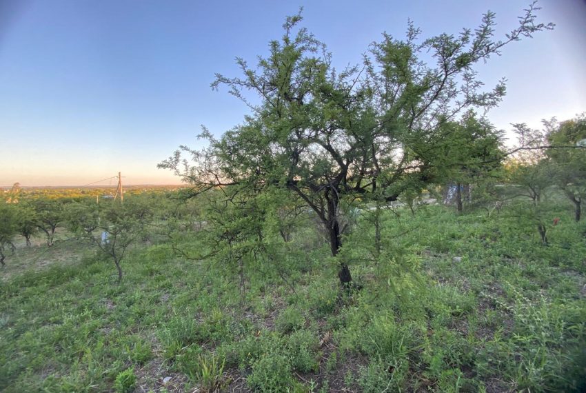 WhatsApp Image 2025-11-18 at 4.21.56 PM (10)