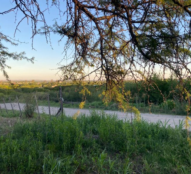 WhatsApp Image 2025-11-18 at 4.21.56 PM (2)