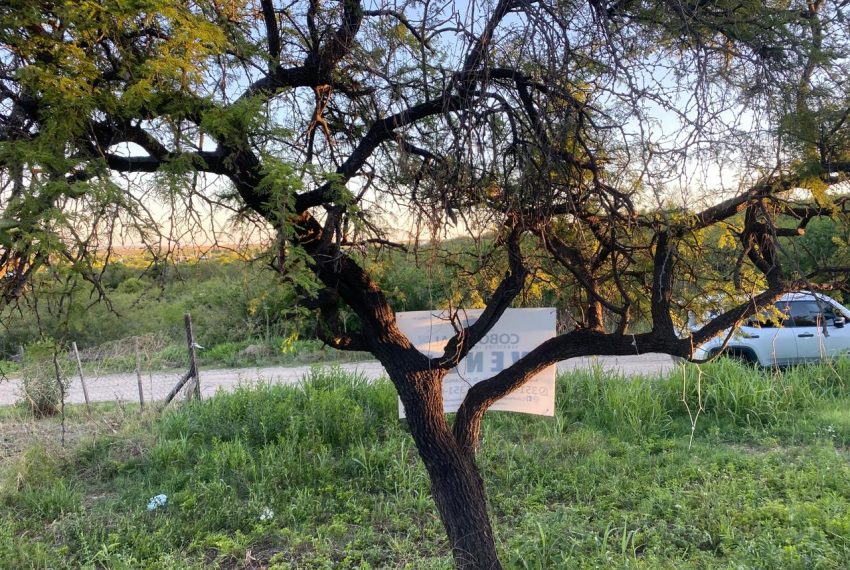 WhatsApp Image 2025-11-18 at 4.21.56 PM (3)