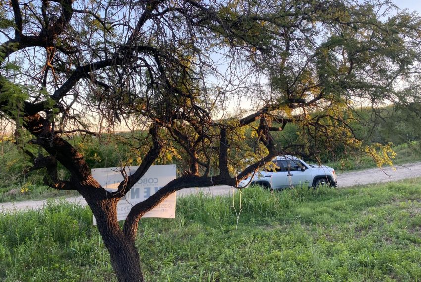 WhatsApp Image 2025-11-18 at 4.21.56 PM (4)