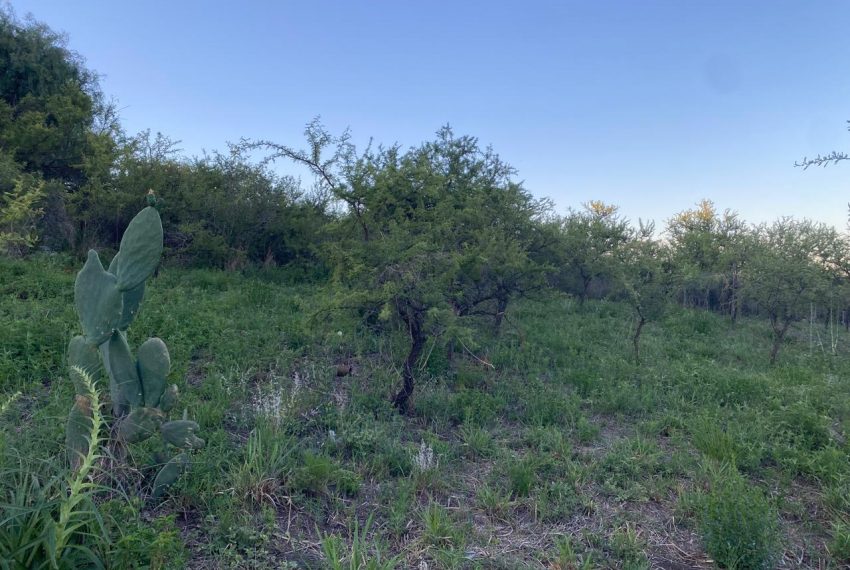 WhatsApp Image 2025-11-18 at 4.21.56 PM (5)