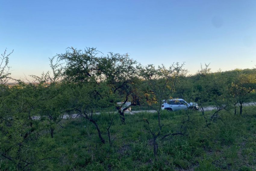 WhatsApp Image 2025-11-18 at 4.21.56 PM (6)