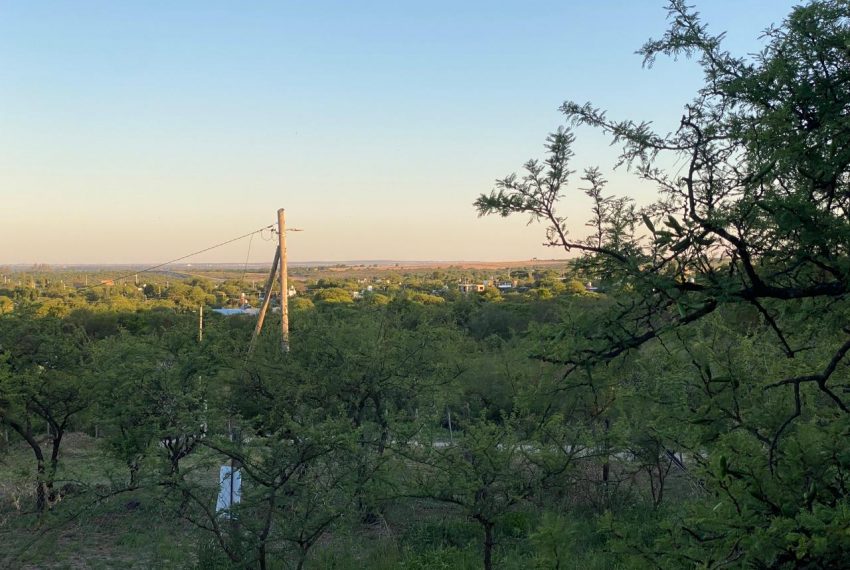 WhatsApp Image 2025-11-18 at 4.21.56 PM (7)