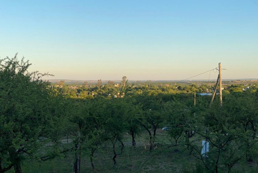 WhatsApp Image 2025-11-18 at 4.21.56 PM (8)