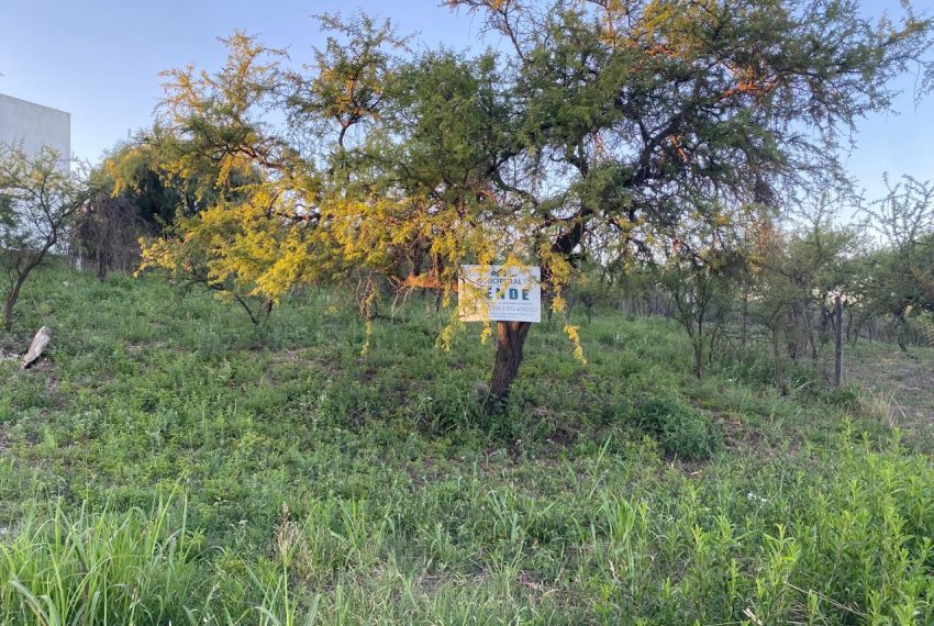 WhatsApp Image 2025-11-18 at 4.21.56 PM