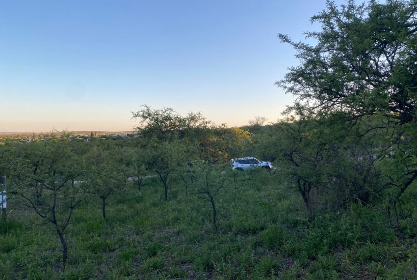 WhatsApp Image 2025-11-18 at 4.21.57 PM (2)