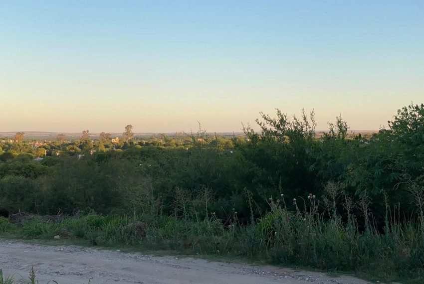 WhatsApp Image 2025-11-18 at 4.21.57 PM (6)