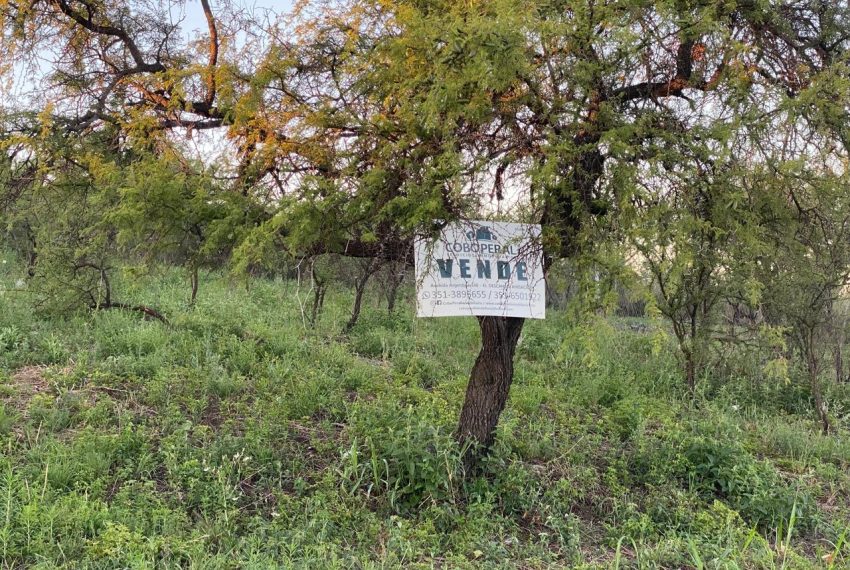 WhatsApp Image 2025-11-18 at 4.21.57 PM (7)