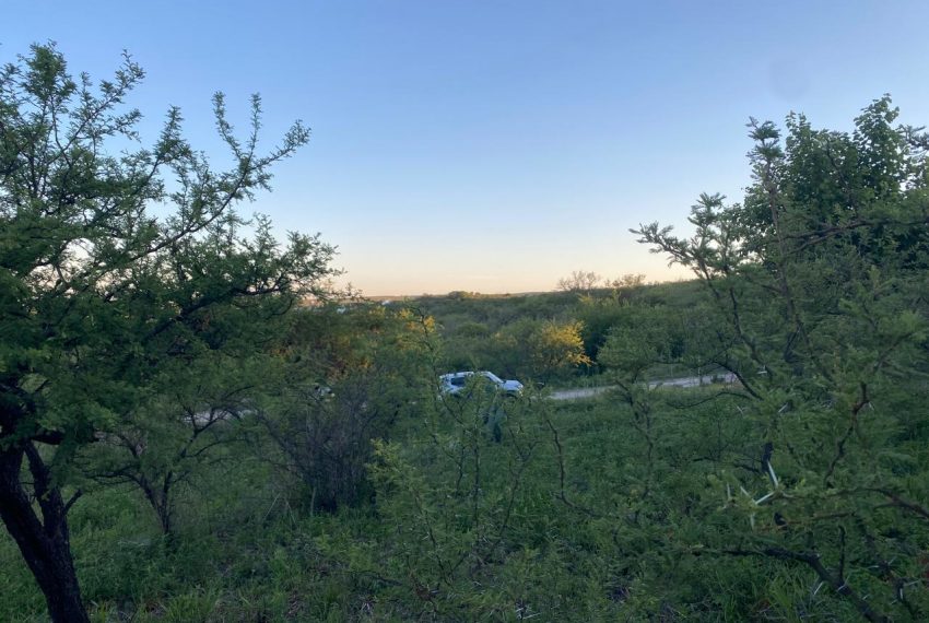 WhatsApp Image 2025-11-18 at 4.21.57 PM