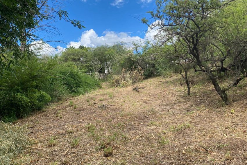 WhatsApp Image 2025-12-17 at 11.50.57 AM (1)