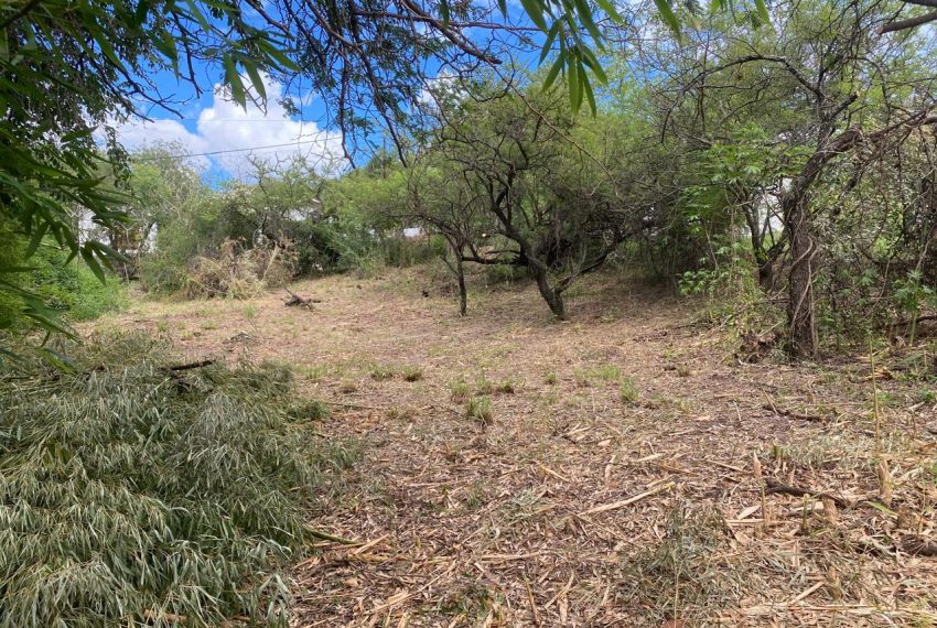 WhatsApp Image 2025-12-17 at 11.50.57 AM (2)