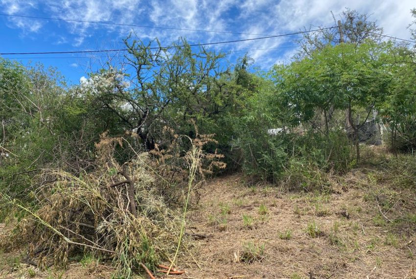 WhatsApp Image 2025-12-17 at 11.50.57 AM (3)