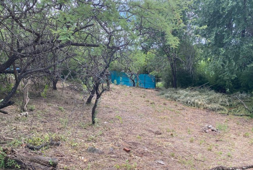 WhatsApp Image 2025-12-17 at 11.50.57 AM (4)