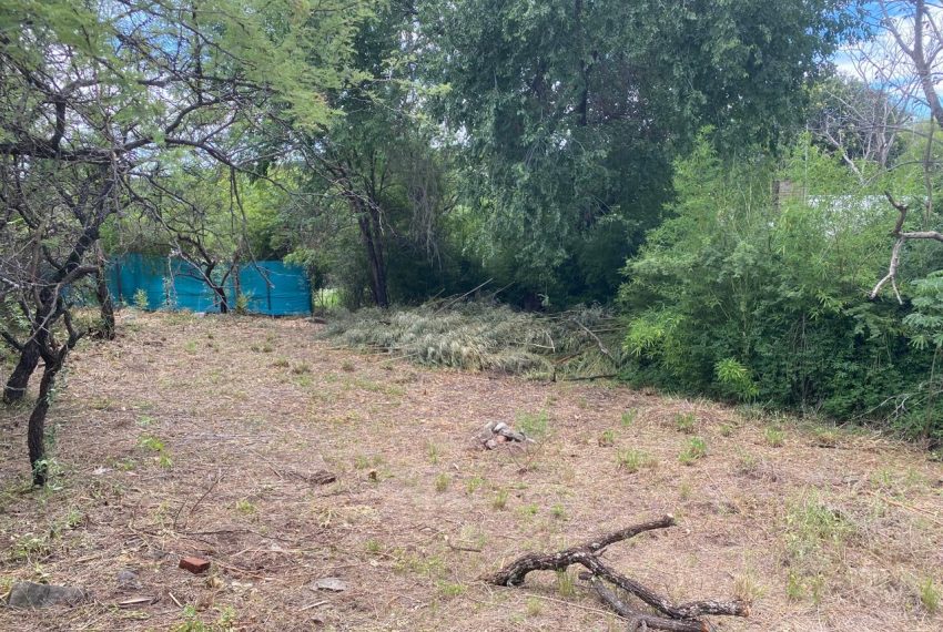 WhatsApp Image 2025-12-17 at 11.50.57 AM (5)