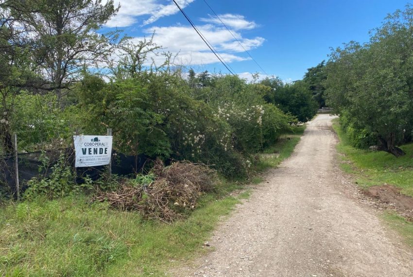 WhatsApp Image 2025-12-17 at 11.50.57 AM (6)