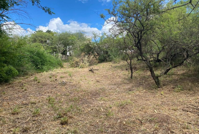 WhatsApp Image 2025-12-17 at 11.50.57 AM