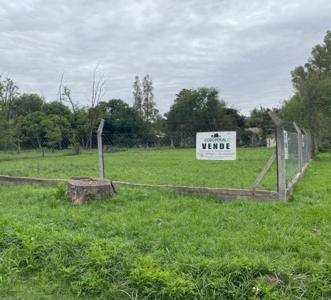 WhatsApp Image 2026-01-06 at 1.40.29 PM