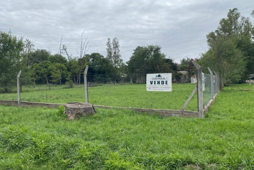 WhatsApp Image 2026-01-06 at 1.40.29 PM