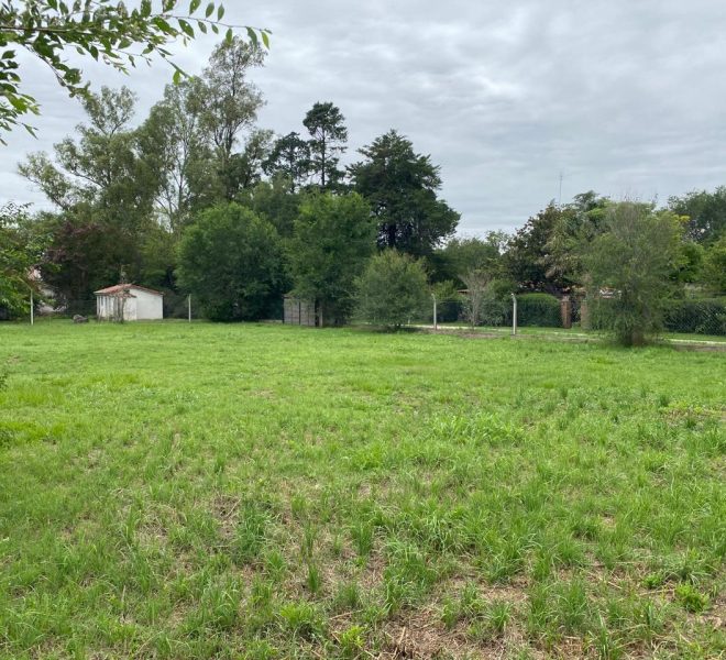 WhatsApp Image 2026-01-06 at 1.40.30 PM (1)