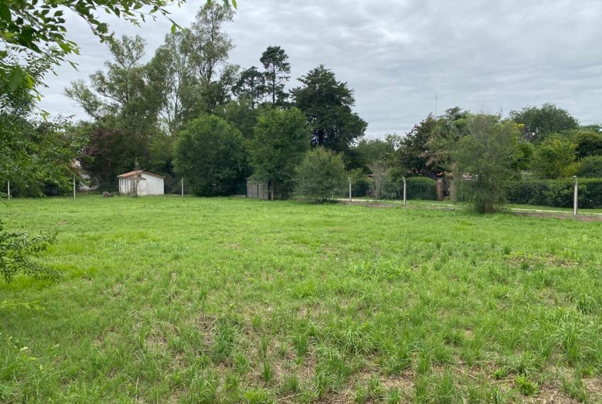 WhatsApp Image 2026-01-06 at 1.40.30 PM (1)