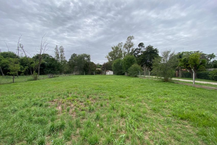 WhatsApp Image 2026-01-06 at 1.40.30 PM (4)