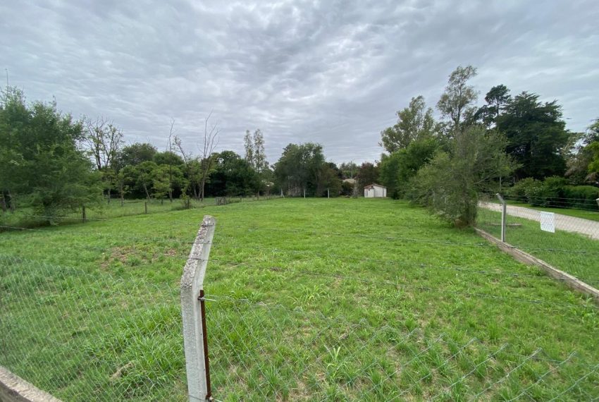 WhatsApp Image 2026-01-06 at 1.40.30 PM (5)