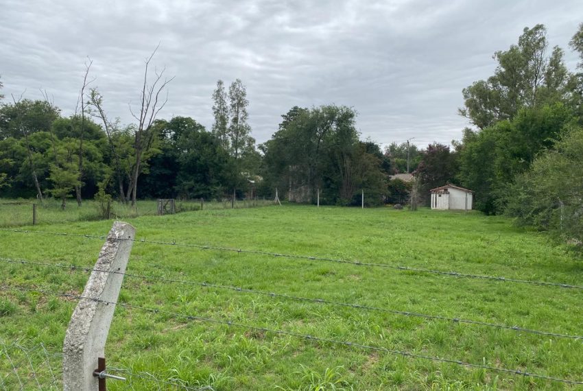 WhatsApp Image 2026-01-06 at 1.40.30 PM (6)