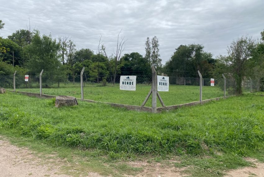 WhatsApp Image 2026-01-06 at 1.40.30 PM (8)