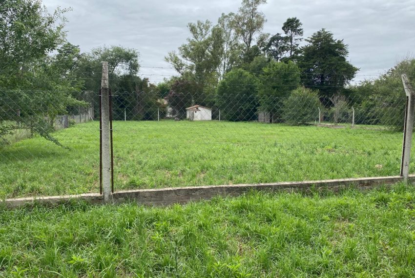 WhatsApp Image 2026-01-06 at 1.40.30 PM