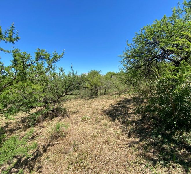 WhatsApp Image 2026-02-24 at 11.34.48 AM (1)