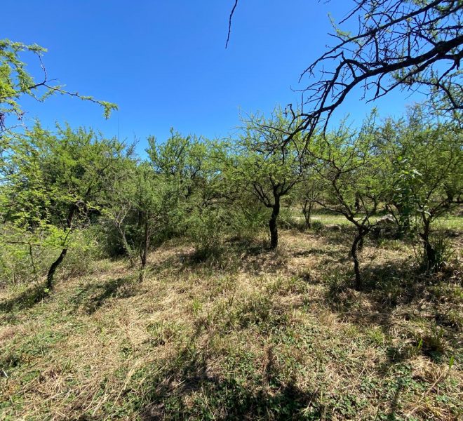 WhatsApp Image 2026-02-24 at 11.34.48 AM (2)