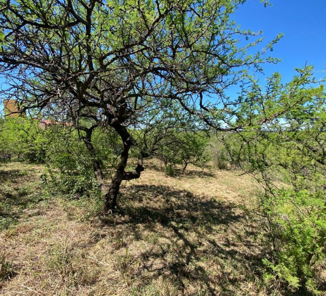 WhatsApp Image 2026-02-24 at 11.34.48 AM (3)