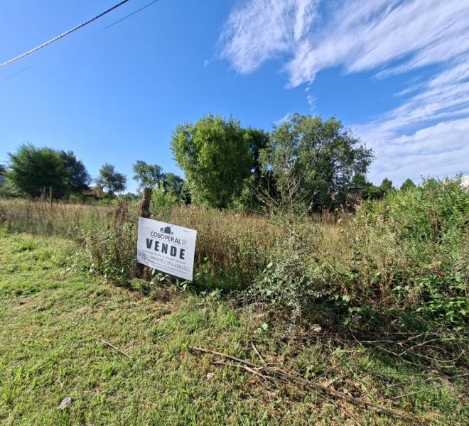 WhatsApp Image 2026-03-04 at 9.39.29 AM