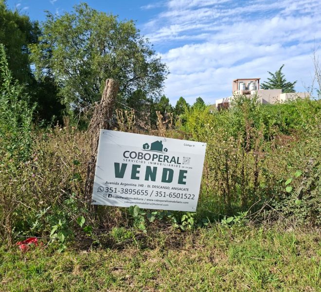 WhatsApp Image 2026-03-04 at 9.39.30 AM (1)