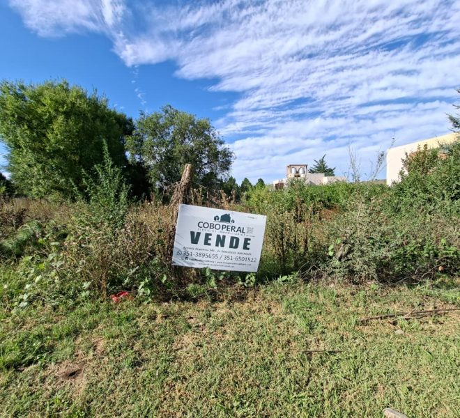 WhatsApp Image 2026-03-04 at 9.39.30 AM (2)