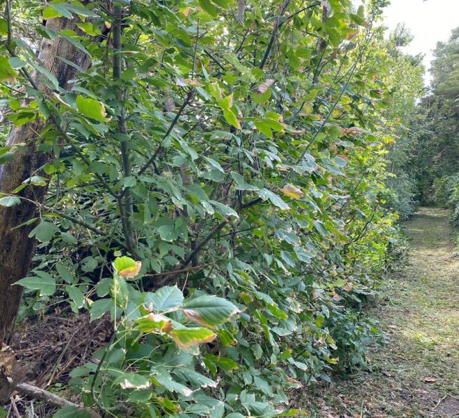 WhatsApp Image 2026-04-16 at 10.21.38 AM (1)