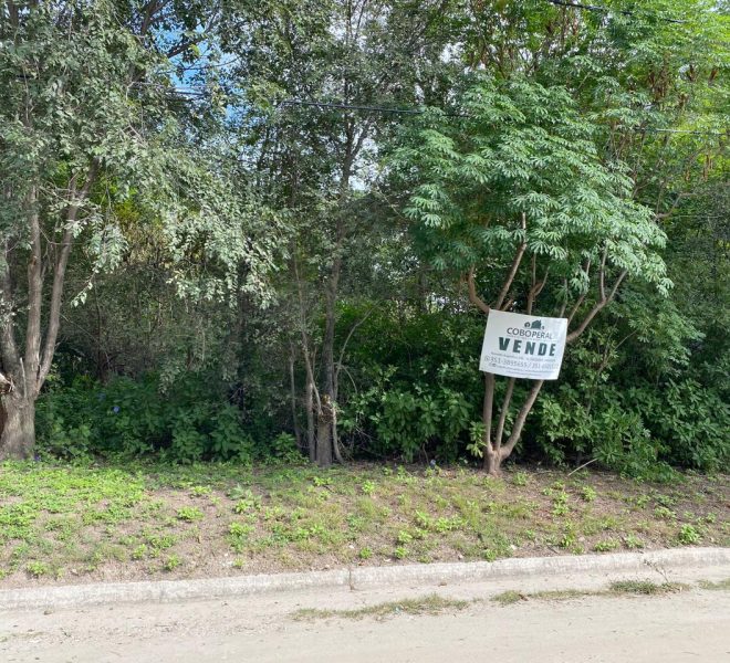 WhatsApp Image 2026-04-16 at 10.21.38 AM (15)