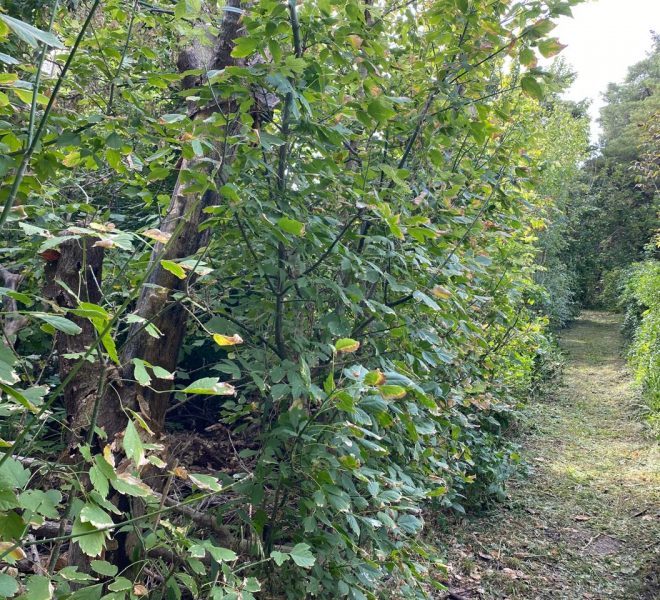 WhatsApp Image 2026-04-16 at 10.21.38 AM