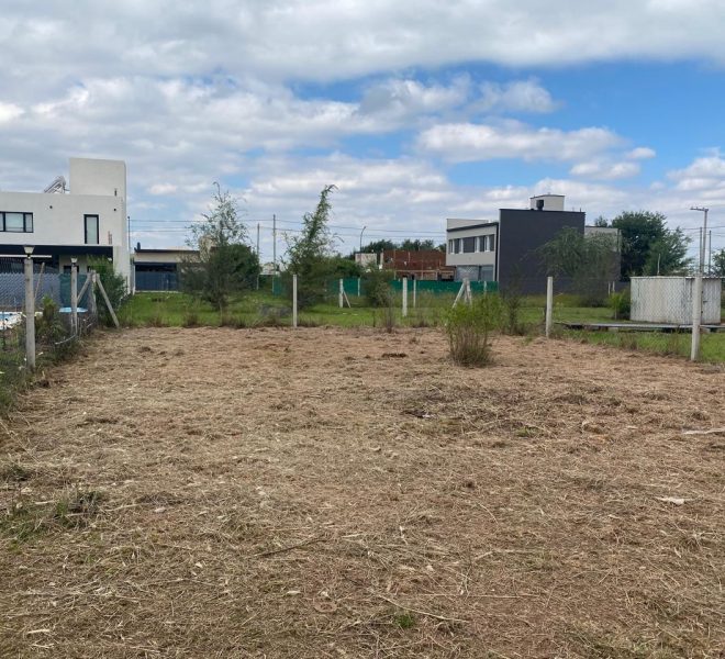 WhatsApp Image 2026-04-16 at 11.11.29 AM