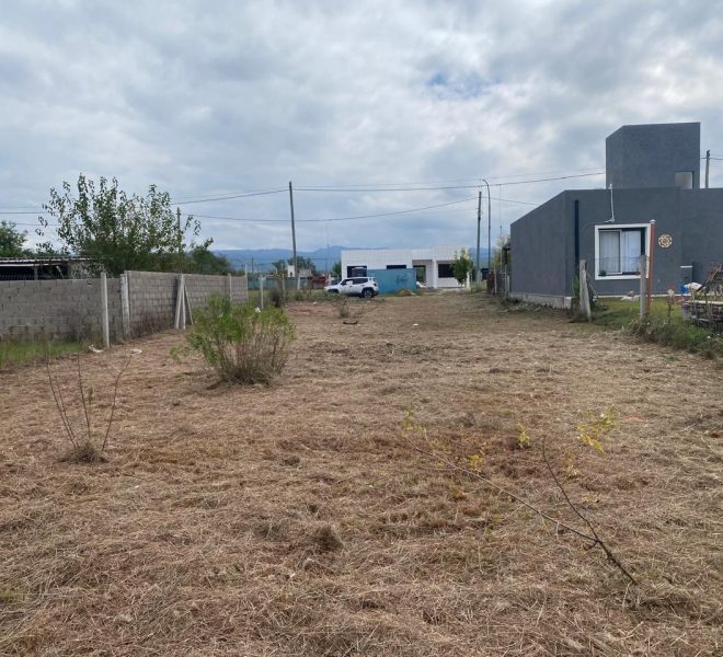 WhatsApp Image 2026-04-16 at 11.11.30 AM (1)