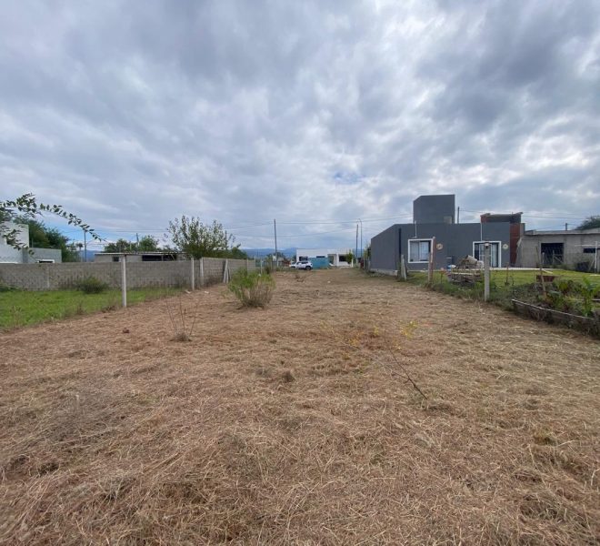 WhatsApp Image 2026-04-16 at 11.11.30 AM (2)