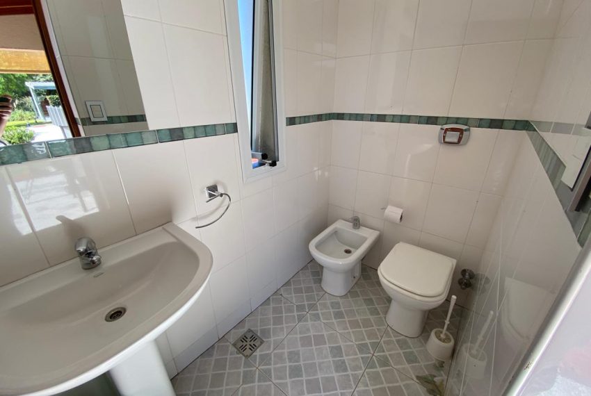 WhatsApp Image 2026-02-03 at 3.17.16 PM